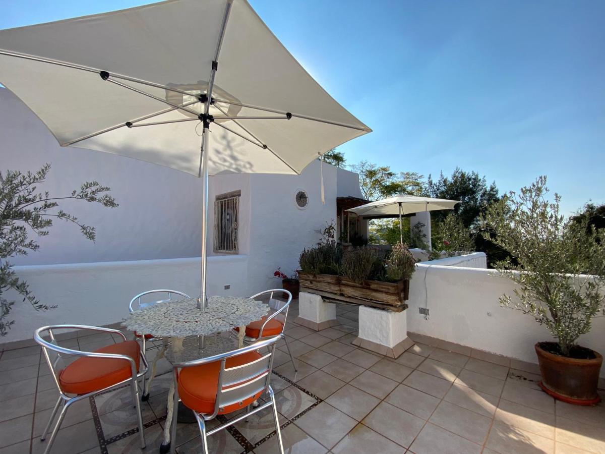 Casa Arbol Hotel San Miguel de Allende Zewnętrze zdjęcie